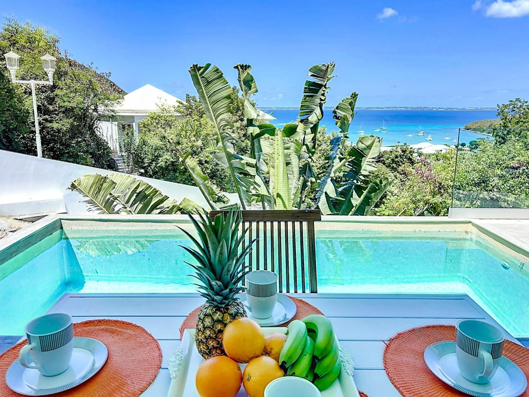 Villa Romane Private Pool Breathtaking Sea View Anse Marcel Dış mekan fotoğraf